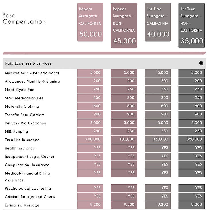 Webinar: "Surrogate Compensation & Benefits Explained" image