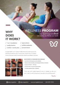 Surrogatefirst Wellness Plan Flyer Version V2