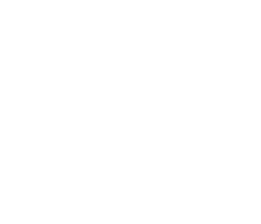 icon magnify white