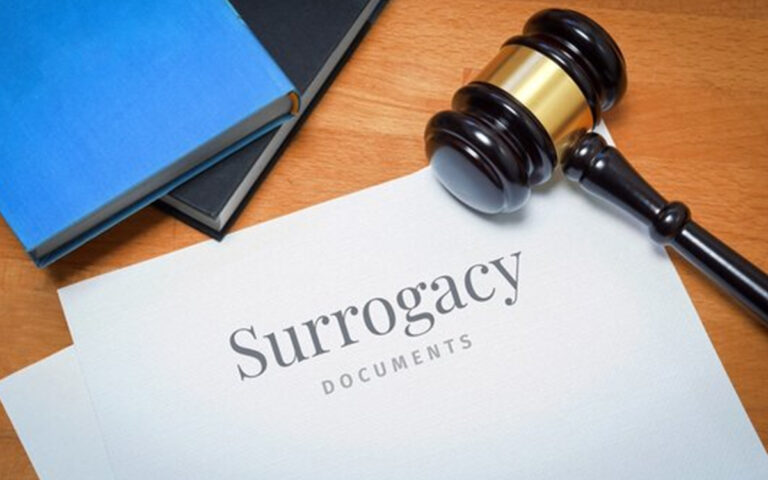 Surrogacy pregnancy journey 4