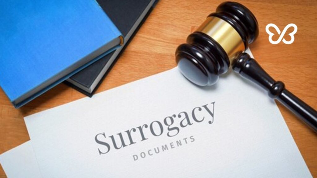Countries and States Where Surrogacy is Legal Article Image