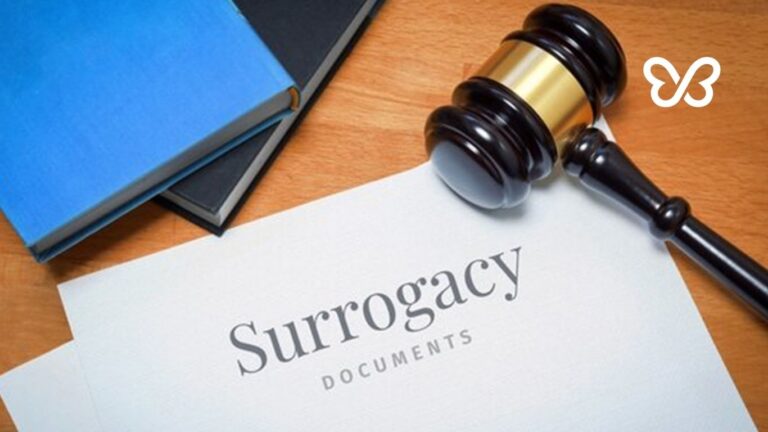 Countries and States Where Surrogacy is Legal Article Image