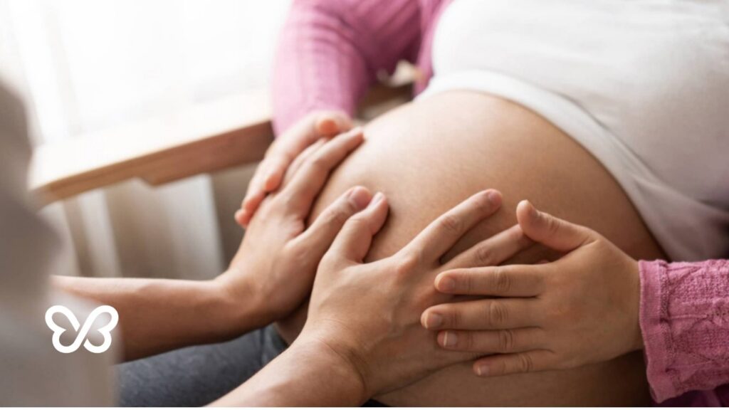 Apply to be a surrogate Guide Article Image
