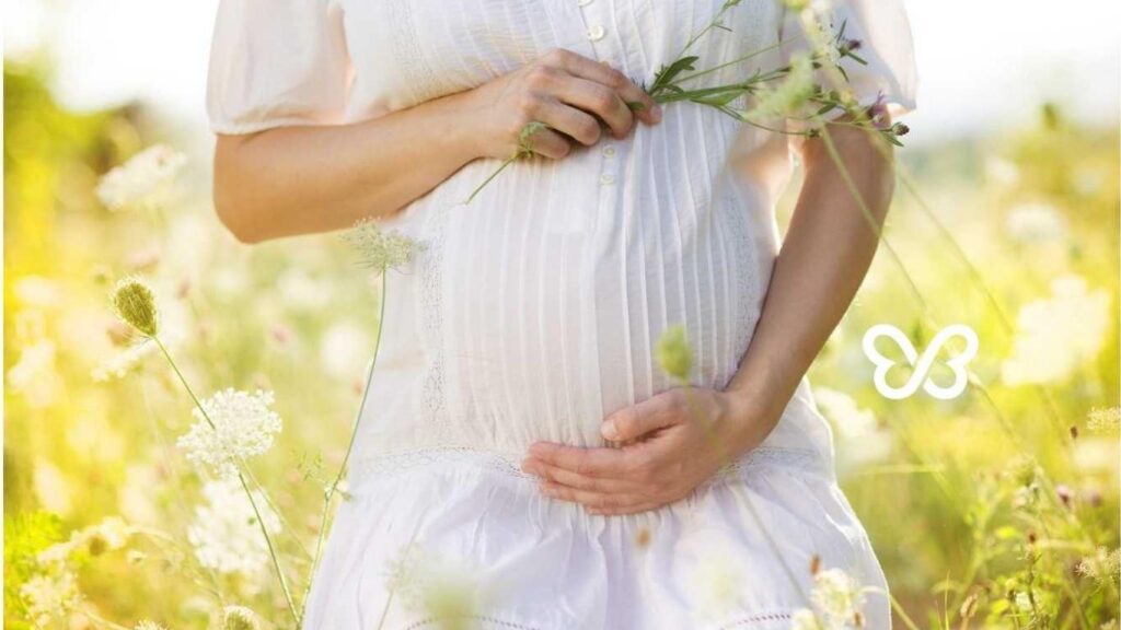 Egg Donation Cost in 2025 Article Image