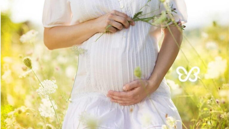 Egg Donation Cost in 2025 Article Image