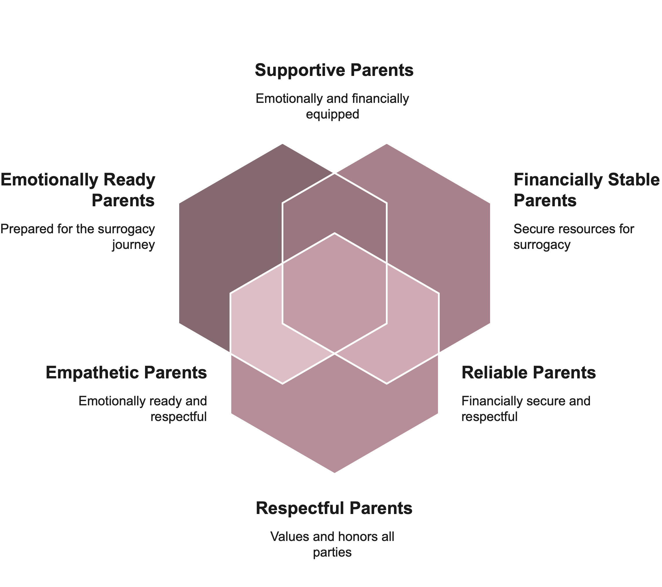 How to evaluate a surrogacy agency visual selection 4