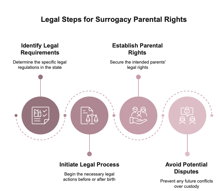Pre birth and post birth legal processes visual selection