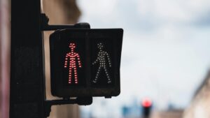Surrogacy Agency Red and Green Flags