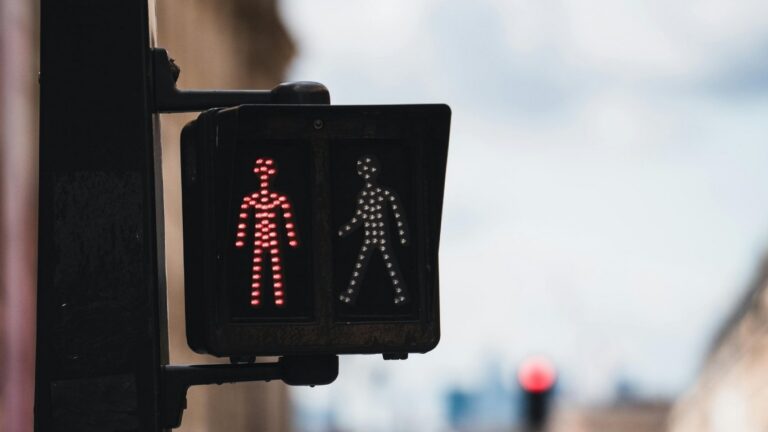Surrogacy Agency Red and Green Flags