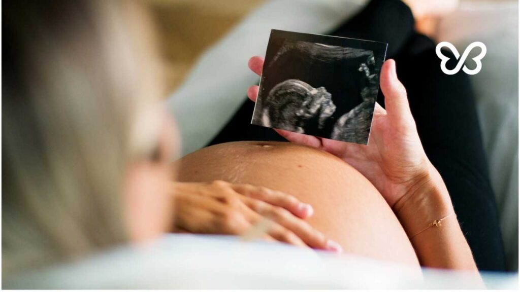 What is IVF Surrogacy Article Image