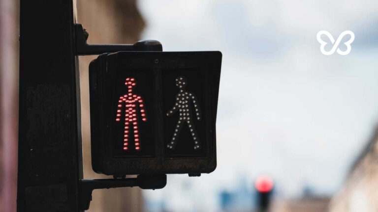Urrogacy Agency Red and Green Flags Article Image