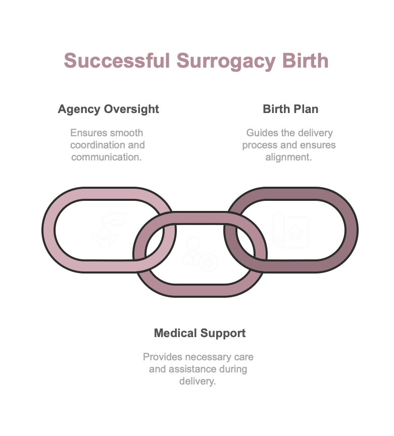 Successful Surrogacy Birth
