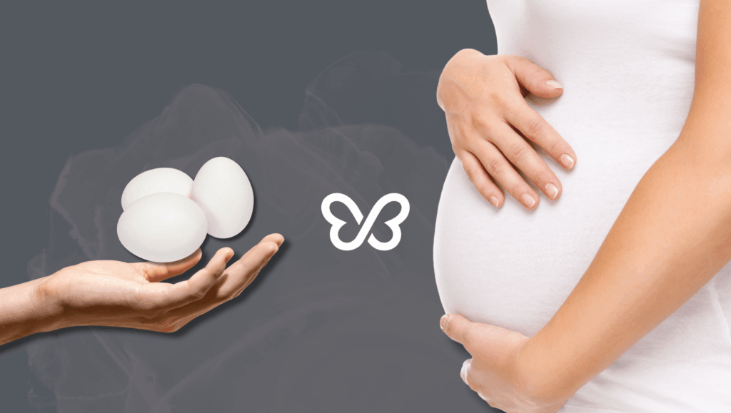 How to Find An Egg Donor