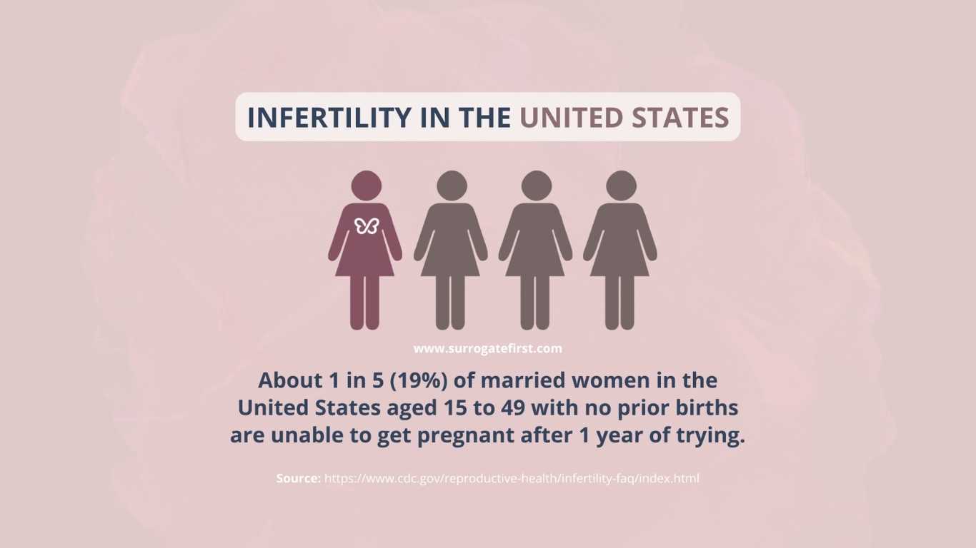 Infertility in The United States Infographics from CDC Gov