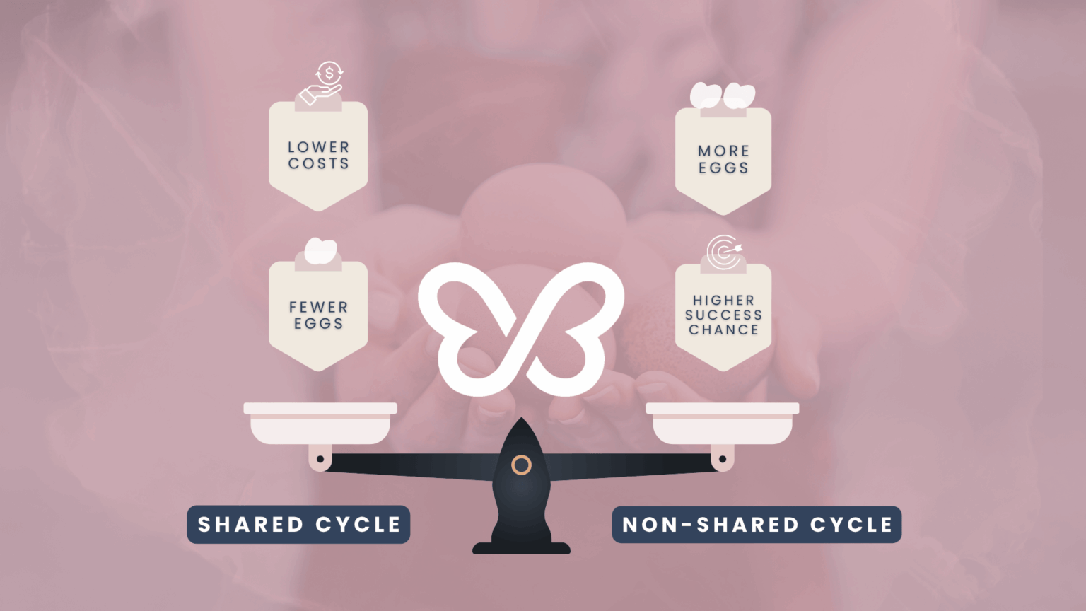 Shared vs non-shared cyle in egg donation