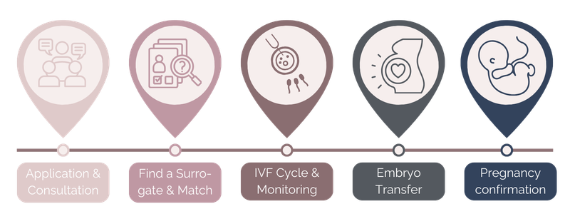 Infographic Surrogacy Process Timeline