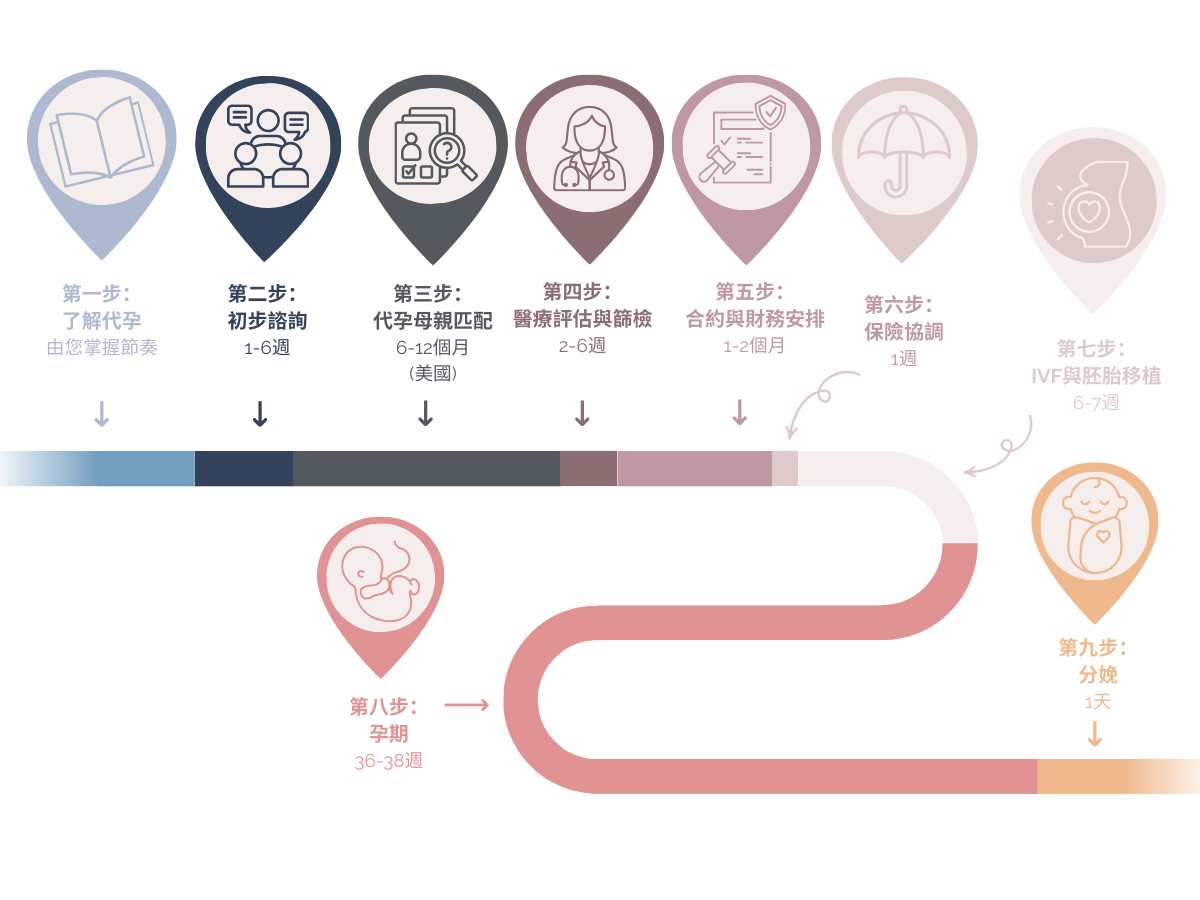 Surrogacy process CN translation
