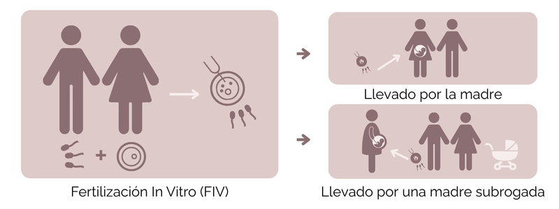 FIV vs. Subrogación