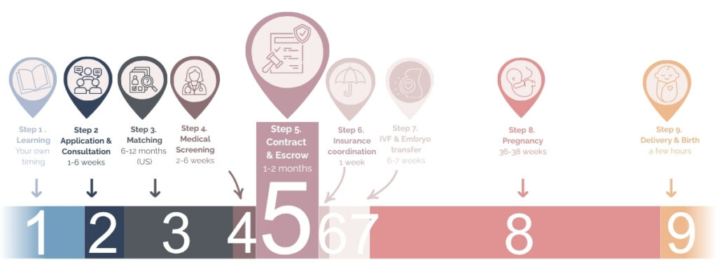 Surrogacy Process step 5 contract