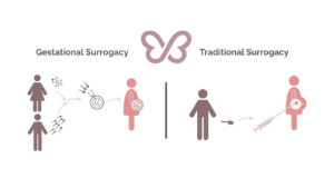 Gestational vs Traditional Surrogacy Article Image