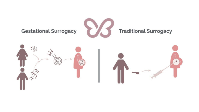 Gestational vs Traditional Surrogacy Article Image
