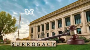 Article Image Illinois Surrogacy Law Update